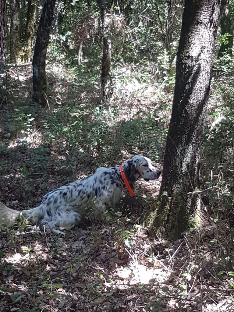 Du Mas Bécasse - En route pour la montagne....