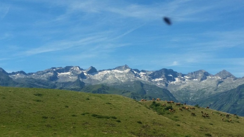 Entraînement montagne 2016